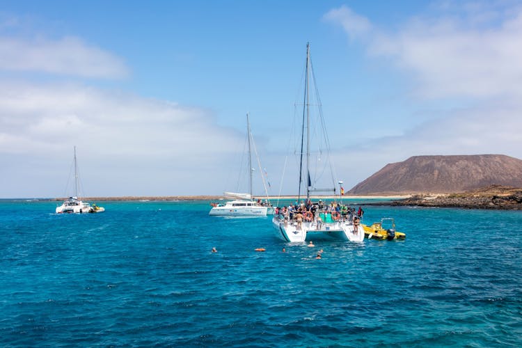 Freebird Catamaran to Lobos Island