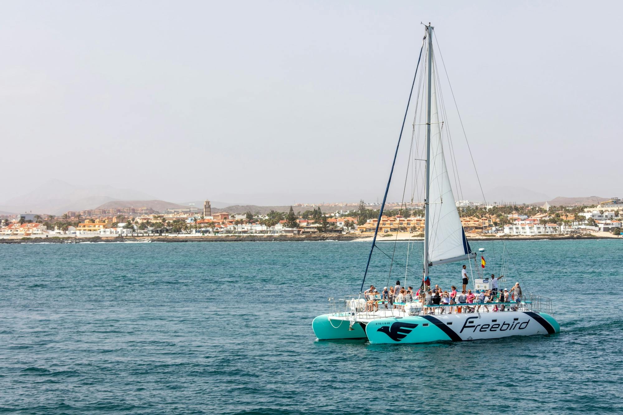 Freebird Catamaran to Lobos Island