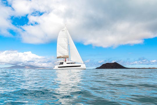 Luxury Oby Catamaran Cruise Corralejo