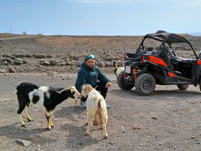 Buggy Tour from Morro Jable to Punta de Jandia