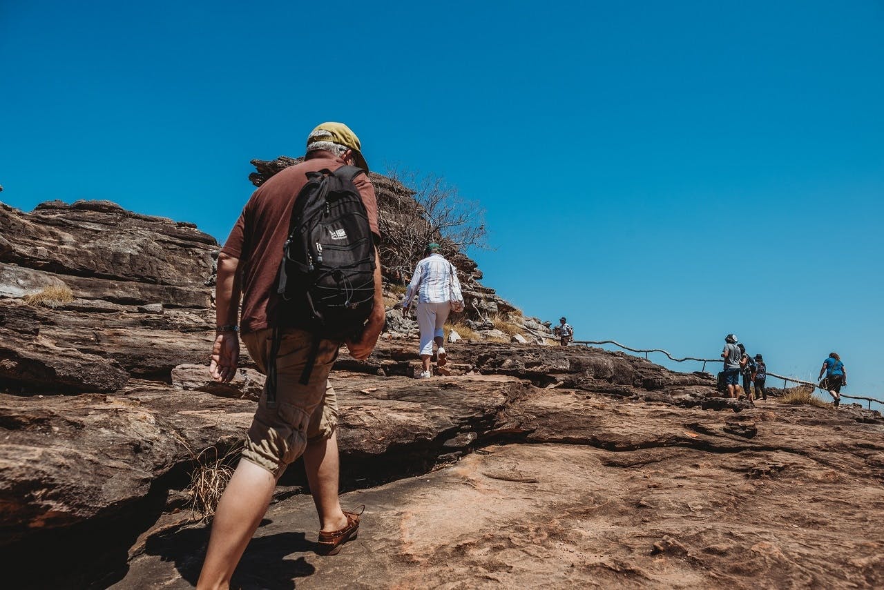 Kakadu National Park full day sightseeing tour in Darwin Musement