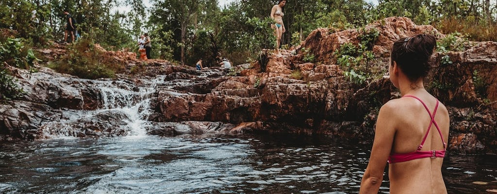 Litchfield National Park full day sightseeing tour in Darwin
