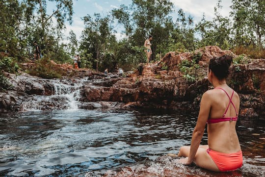 Litchfield National Park full day sightseeing tour in Darwin