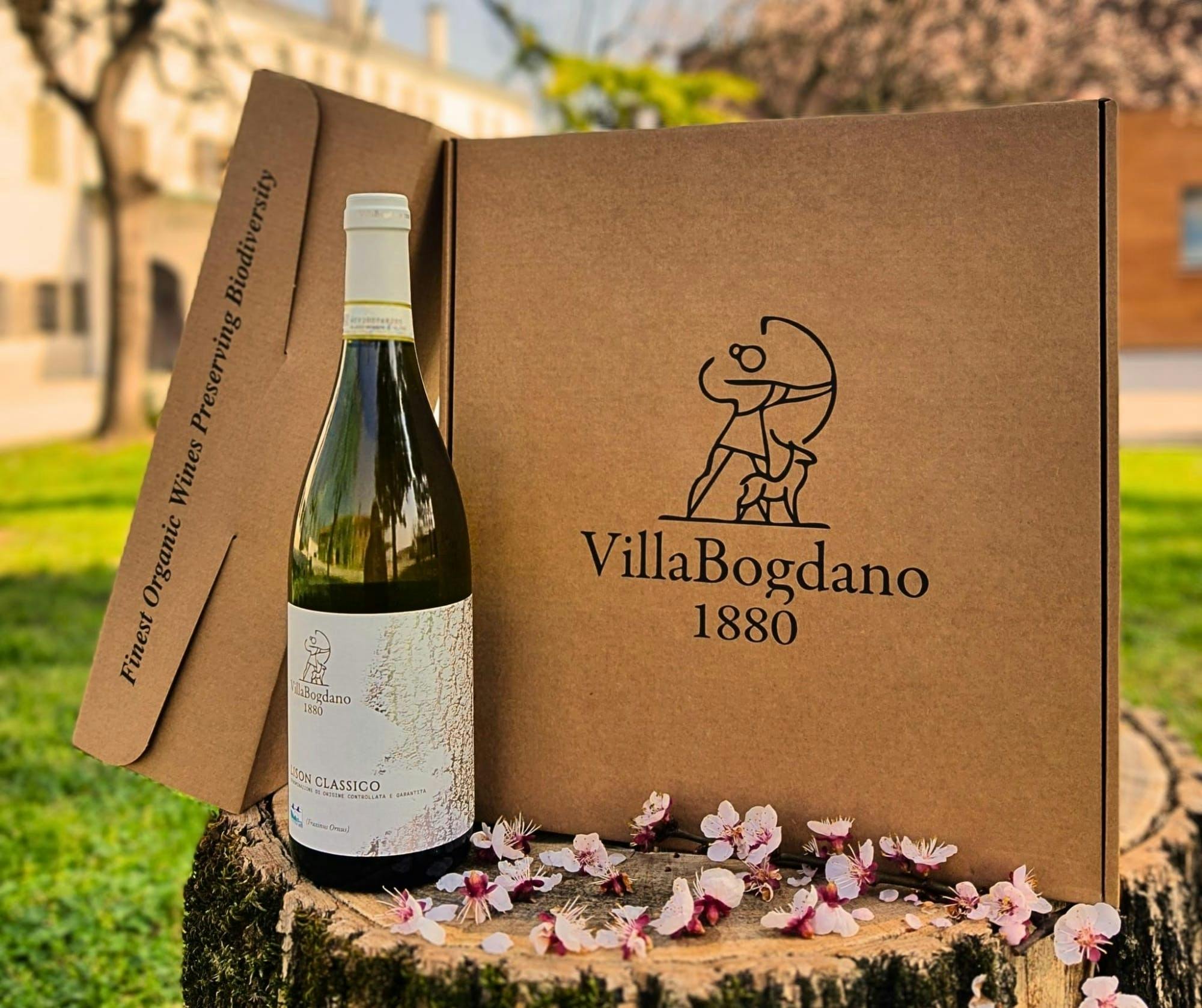 Visita guiada a pie por los viñedos de Villa Bogdano 1880 con cata de vinos