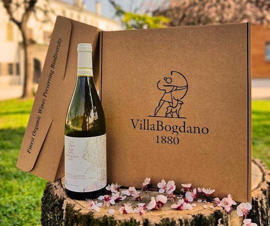 Visita guiada a pie por los viñedos de Villa Bogdano 1880 con cata de vinos