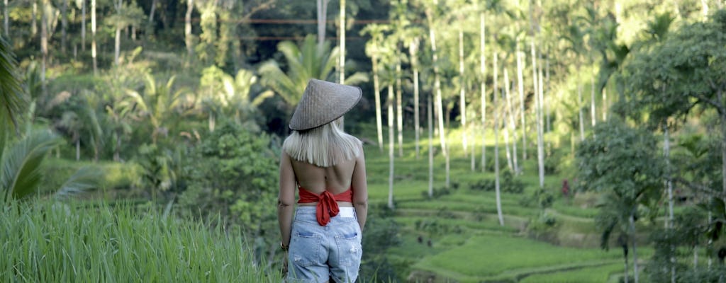 Excursão de pacote de 3 dias ao melhor de Bali