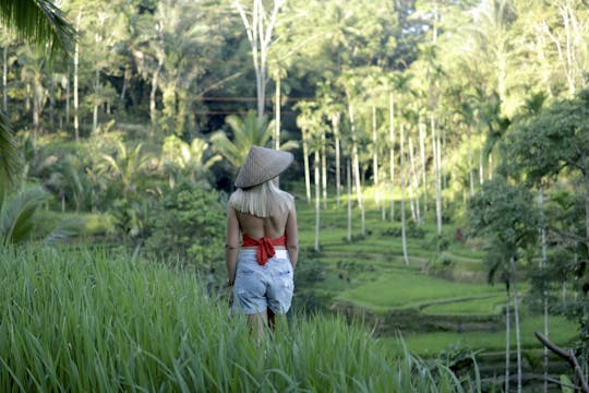 Il meglio del pacchetto turistico di Bali di 3 giorni