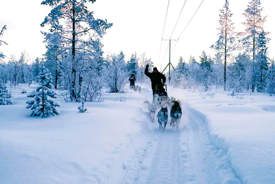 TUI Levi Husky kennel visit with sleigh ride