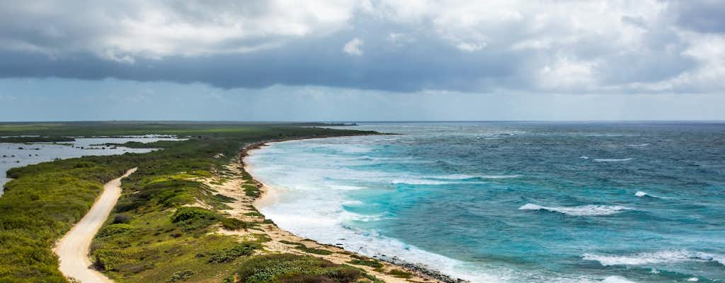 Cozumel