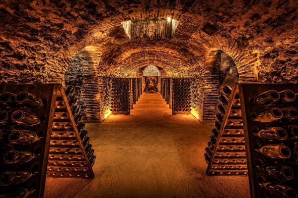 Cellar visit at the Champagne Boizel house and Millésime tasting