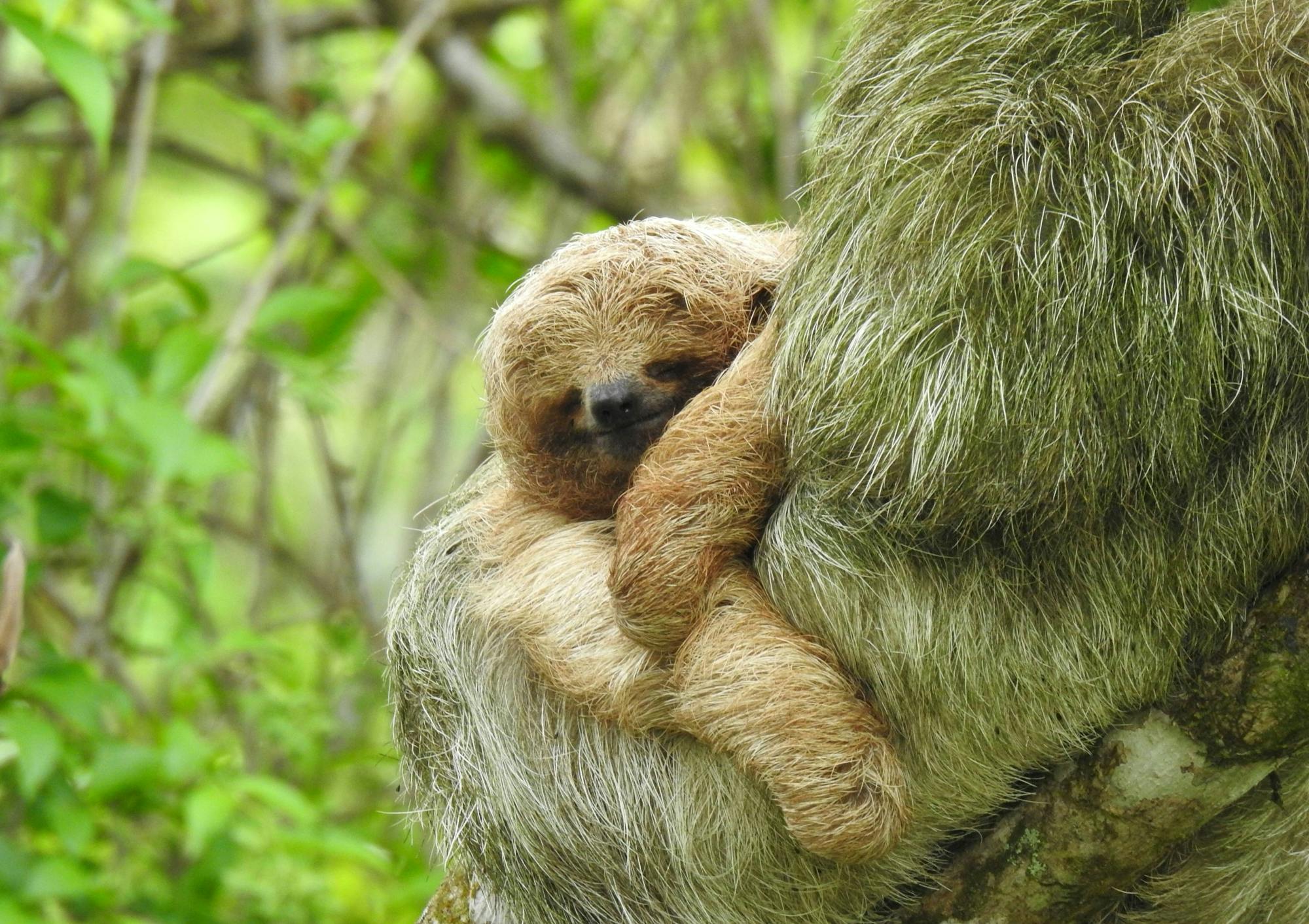 Guanacaste Wildlife Tour