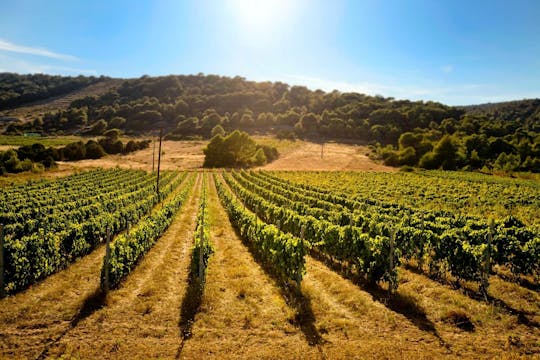 Visite privée du vin et de la gastronomie au départ de Dubrovnik