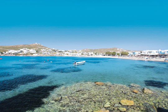 Boat Safari around Agia Pelagia Bay