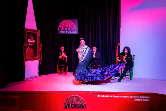 Traditional flamenco show in a historic center tablao in Granada