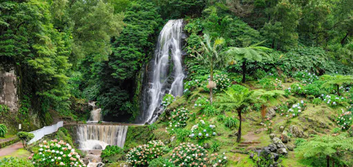 Eastern São Miguel Tour