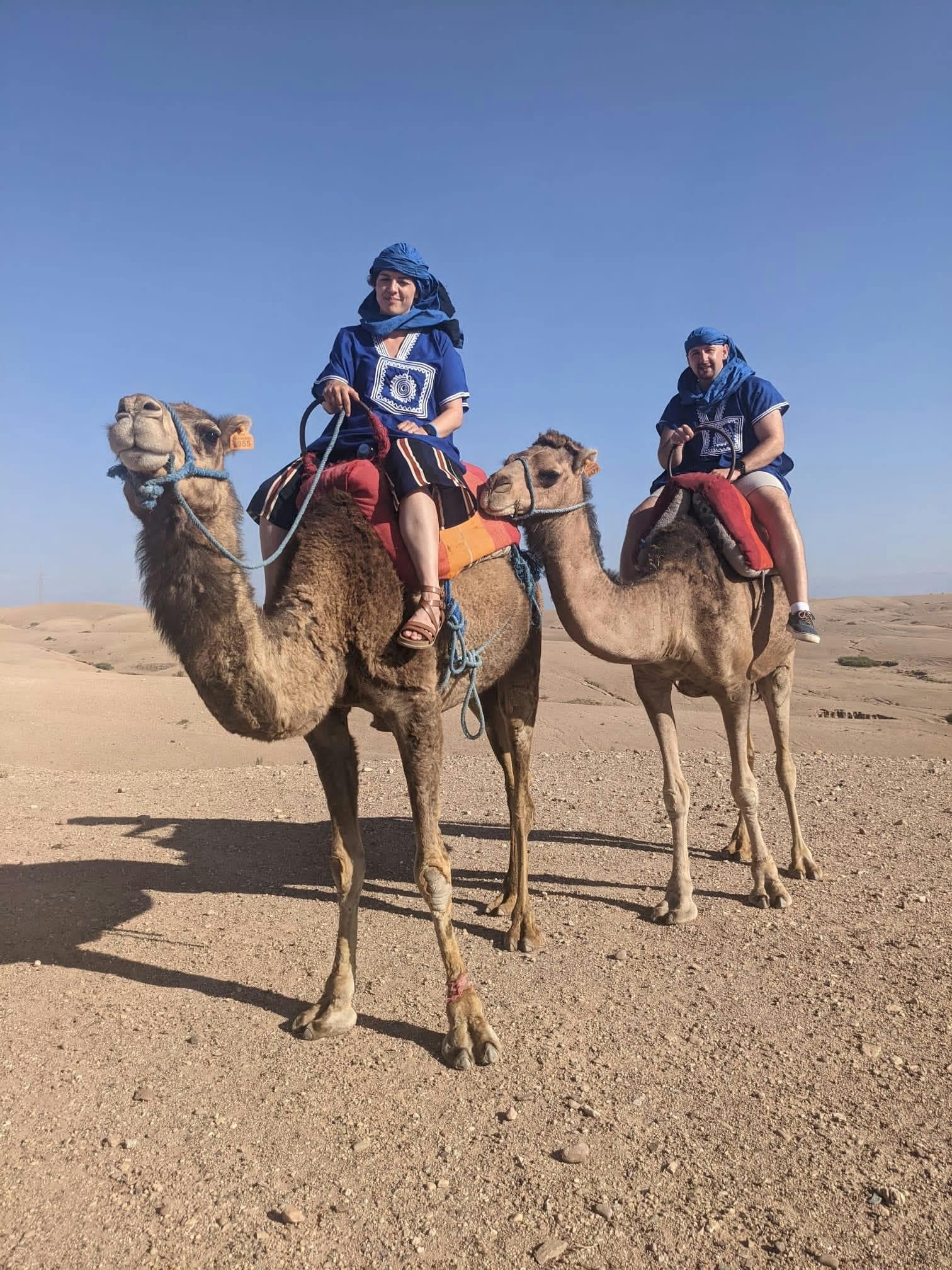 Całodniowa wycieczka na pustynię Agafay z przejażdżką na wielbłądzie i berberyjskim lunchem