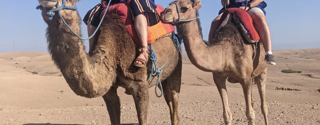 Excursion d'une journée dans le désert d'Agafay avec balade à dos de chameau et déjeuner berbère