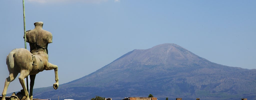 Semi-privé excursie Pompeii en Vesuvius met de bus vanuit Napels