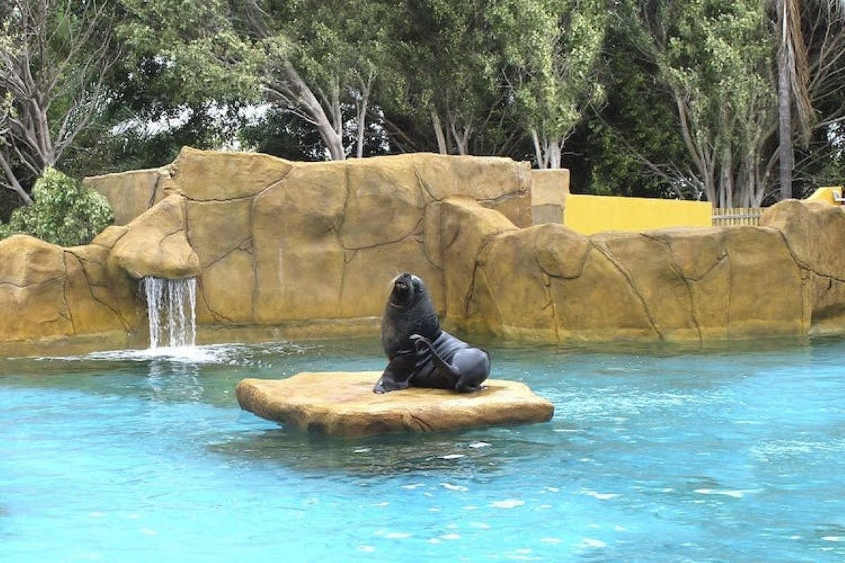 Selwo Marina interactions