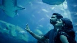 Dubai Aquarium and Underwater Zoo - Ultimate Experience