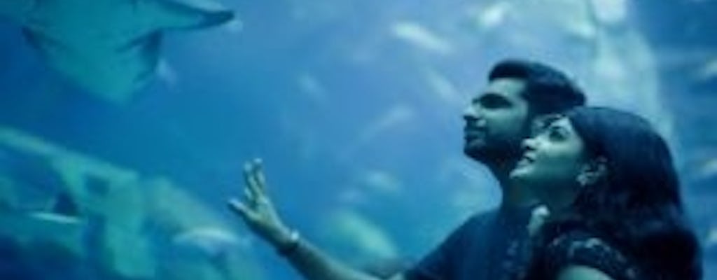 Expérience ultime de l'aquarium et du zoo sous-marin de Dubaï