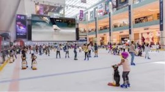 Billet d'admission générale à la patinoire de Dubaï