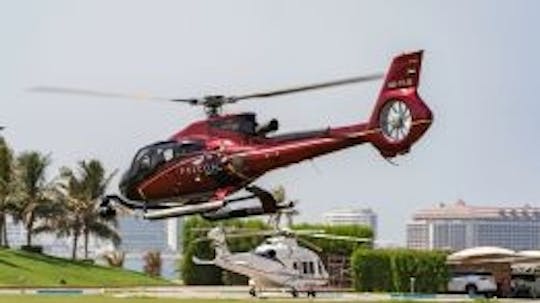 Falcon Heli Tours - Fun Ride 15 MIN up to 6 guests (Private)
