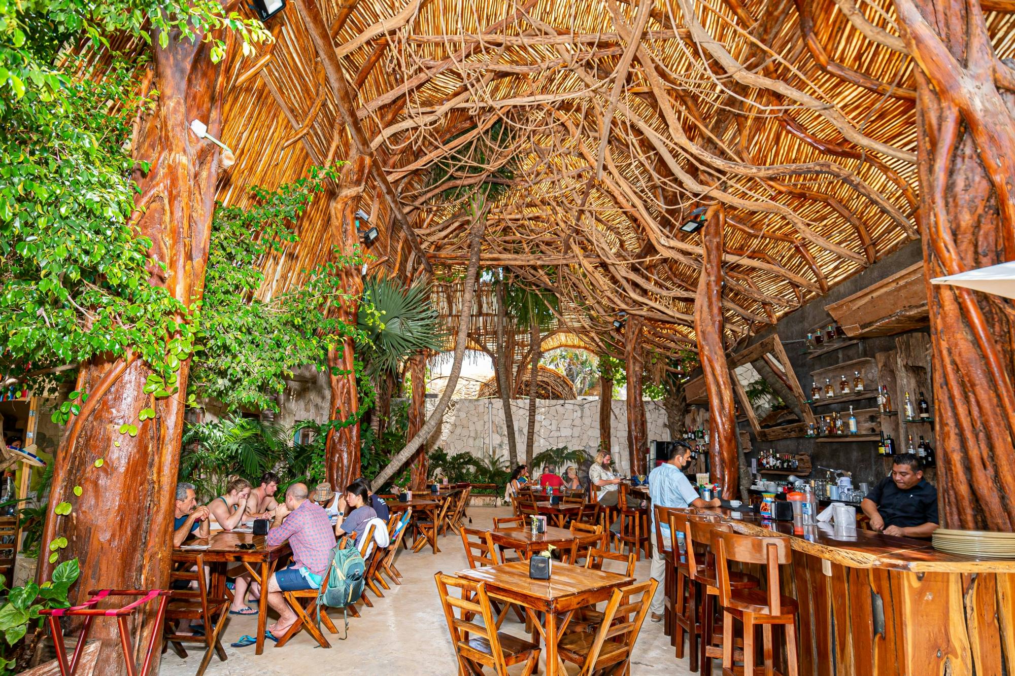 Puerto Morelos Reef Snorkelling Tour with Lunch