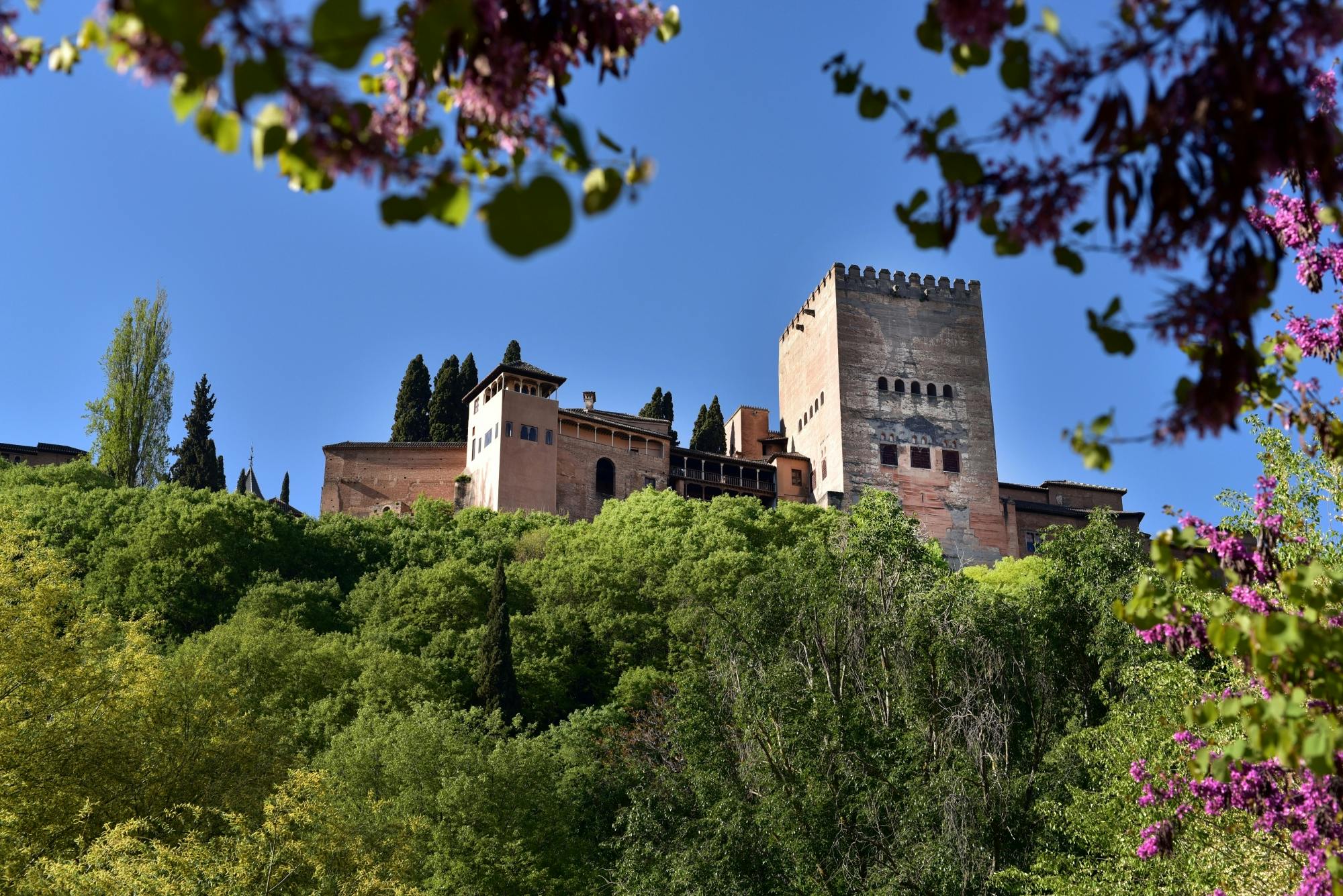 Visite guidée de l'Alhambra et pass pour la ville de Grenade avec toutes les entrées