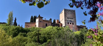 Alhambra guided tour and Granada city pass with all entrances