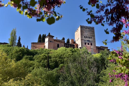 Alhambra guided tour and Granada city pass with all entrances