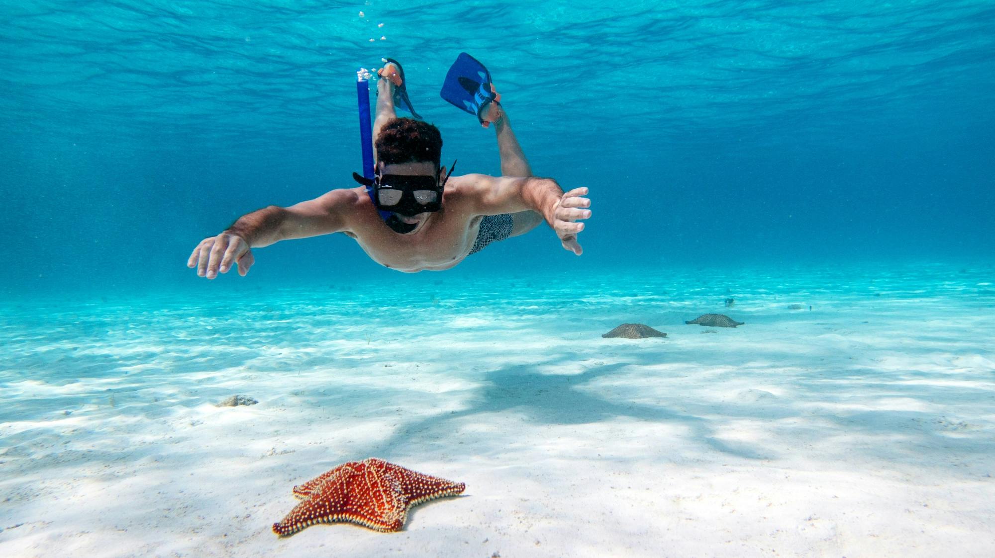 Safari por el mar en Cozumel con snorkel en El Cielo