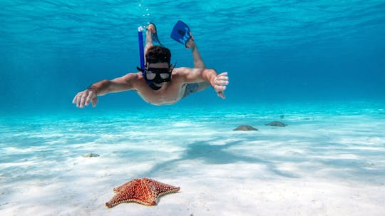 Safari por el mar en Cozumel con snorkel en El Cielo