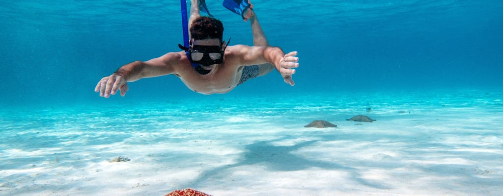 Safari de mer à Cozumel avec snorkeling à El Cielo