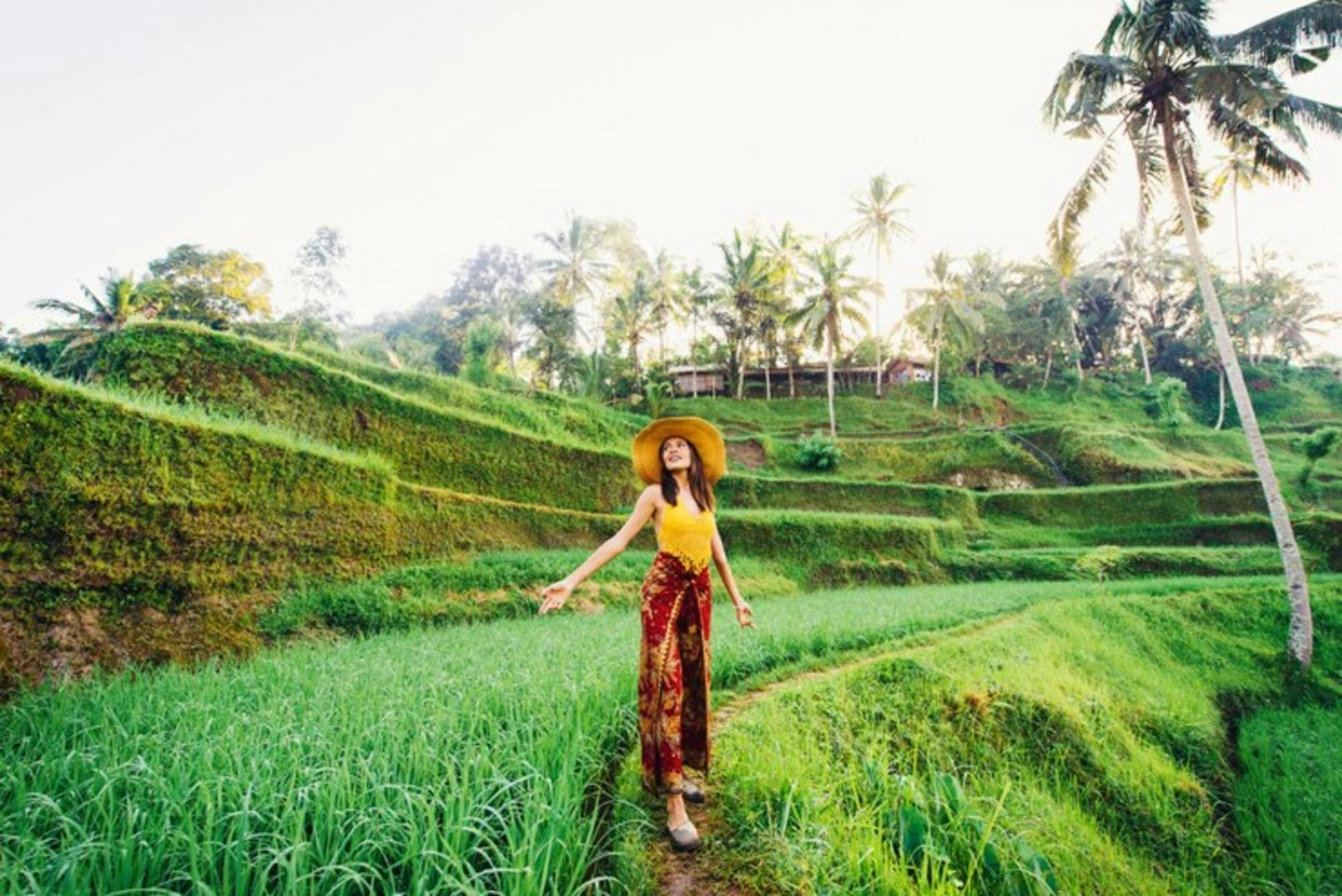 Ubud private highlights tour with pickup