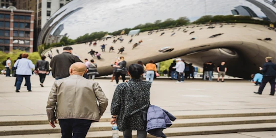 Best of Chicago Guided tour with Skydeck and river cruise