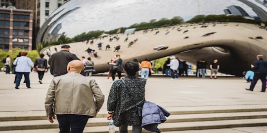 Best of Chicago Guided tour with Skydeck and river cruise