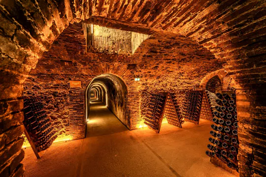 Wizyta w piwnicy Boizel Champagne House i degustacja Joyau de France