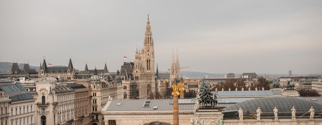 Visita secreta ao telhado de Viena