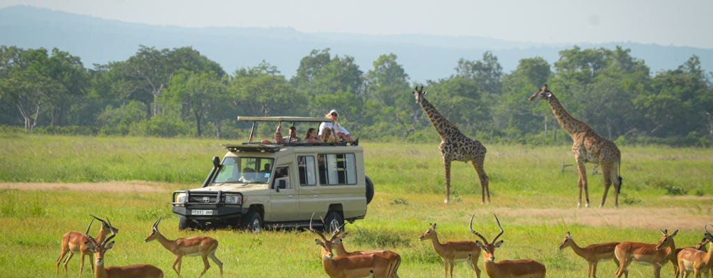 Excursión de safari de 1 día al Parque Nacional Mikumi desde Zanzíbar