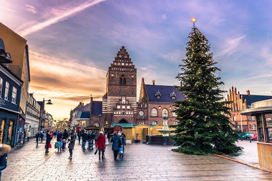 Magical Christmas private walking tour in Roskilde