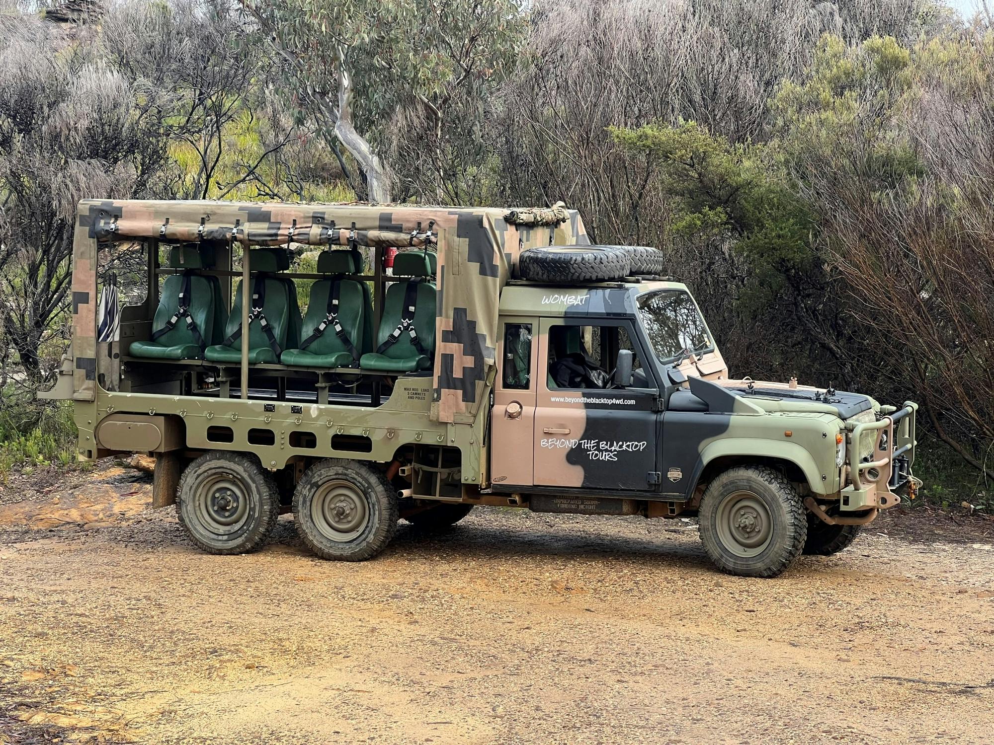 3 hour Blue Mountains tour on an ex army truck Musement