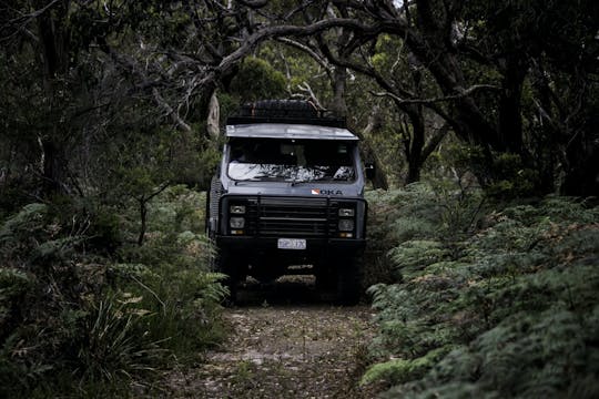 Wildtiertour auf den französischen Inseln und Phillip Island