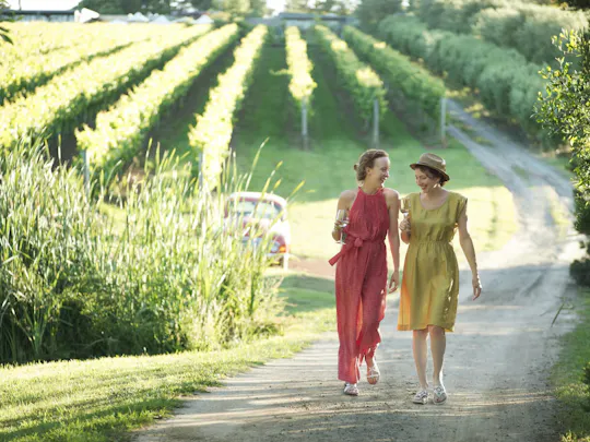 Visita guiada por la ruta gastronómica y degustación de vinos de la península de Mornington