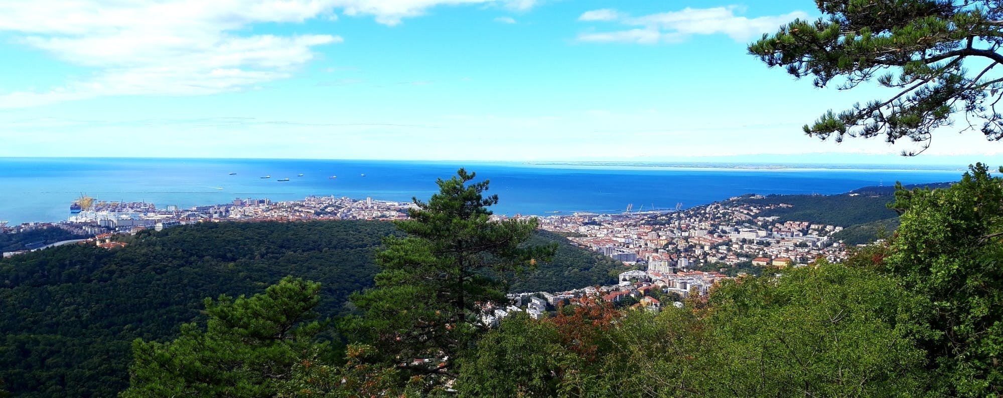 Passeggiata guidata a cavallo nel Carso Triestino