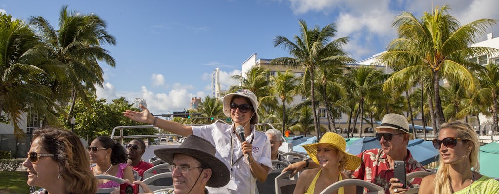 Hop-on hop-off sightseeing tour 24-hour pass