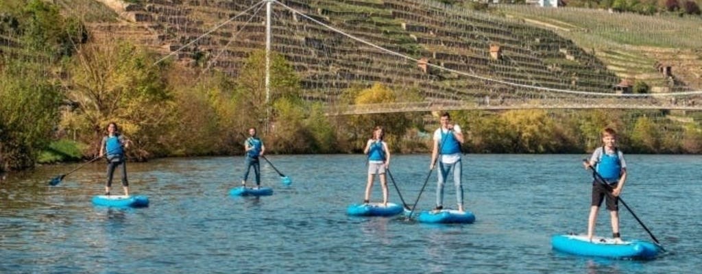 Cours d'initiation au SUP à Stuttgart