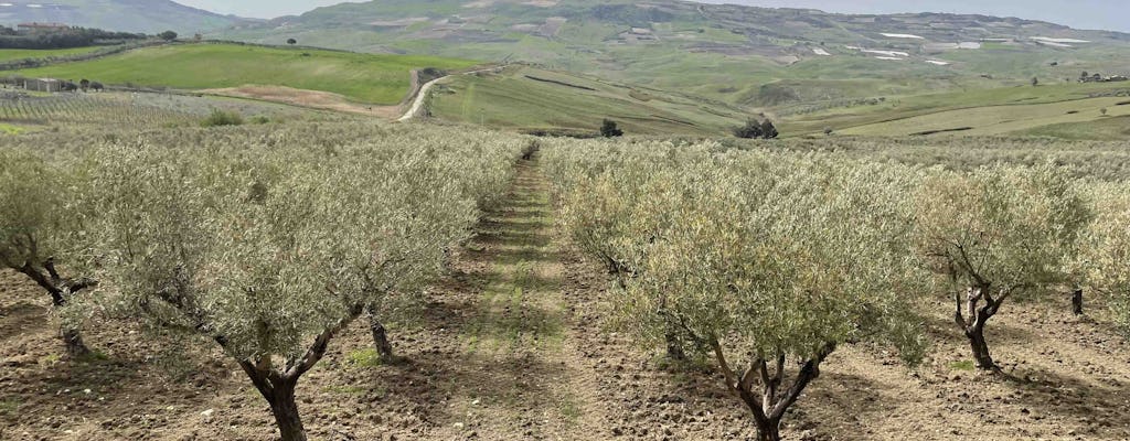 Degustacja oliwy i jedzenia w prowincji Agrigento
