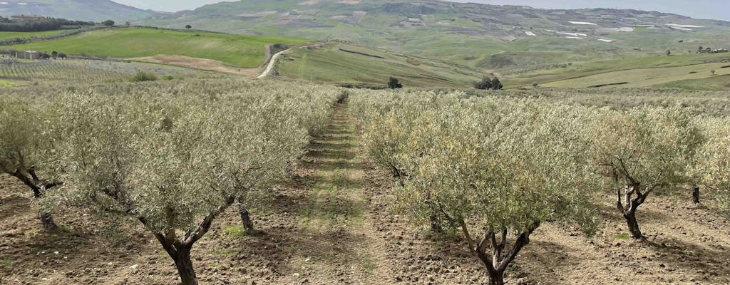 Oil and food tasting in the province of Agrigento