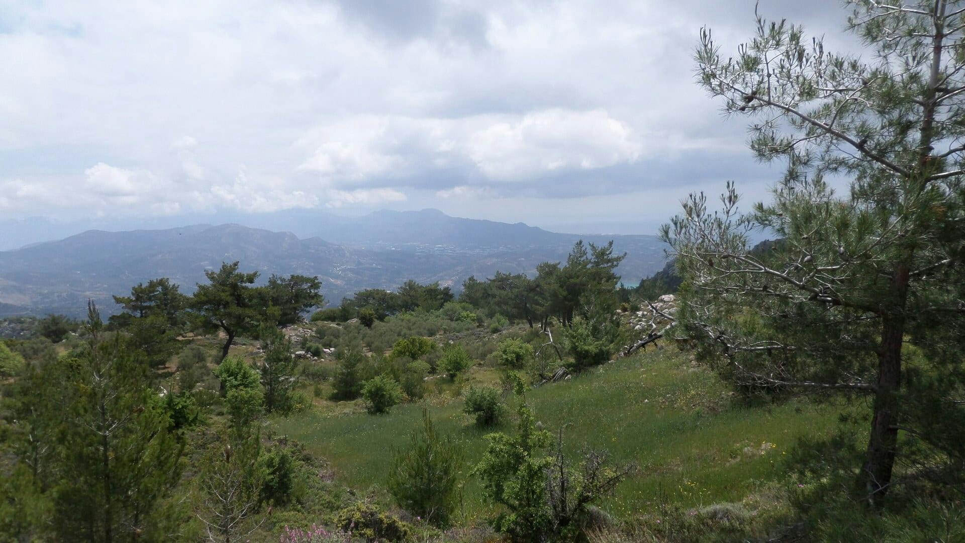 Quad Safari from Ierapetra Ticket